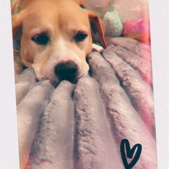 Meet your Posher, Tiffany - Picture 1 of 1